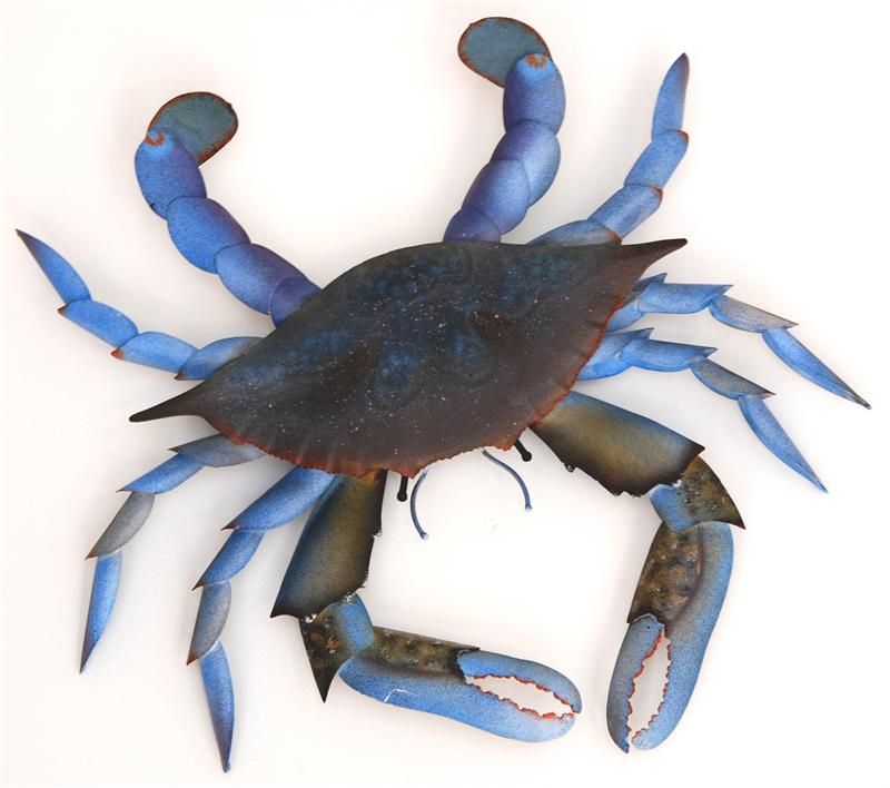 Blue Claw Crab - Medium