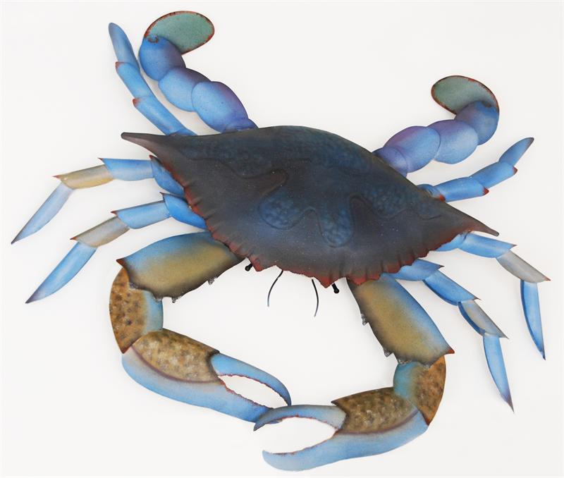 Blue Claw Crab - X-Large